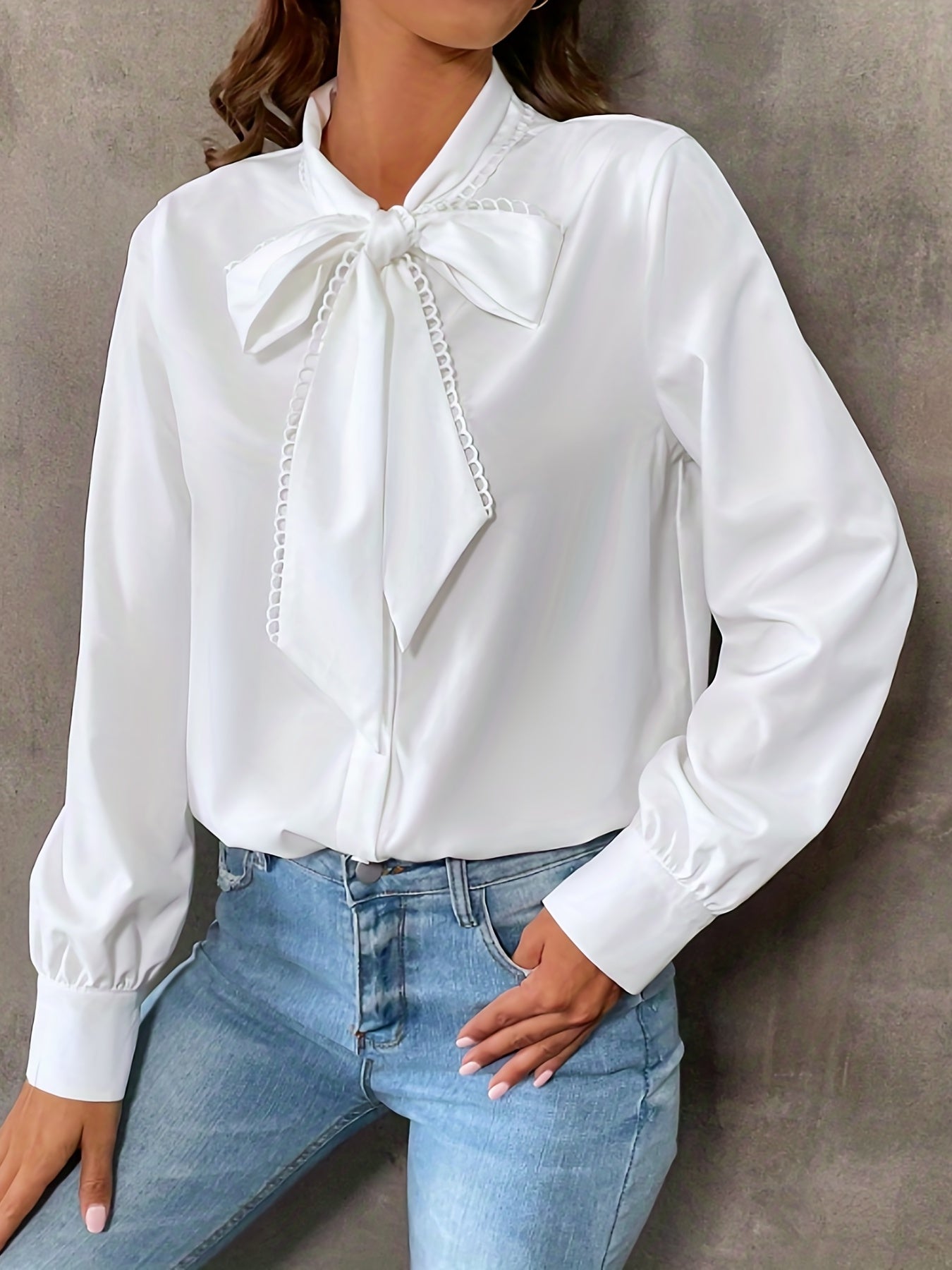 Bowknot Front Long Sleeve Blouse, High Neck Casual Top For Fall & Spring, Women's Clothing