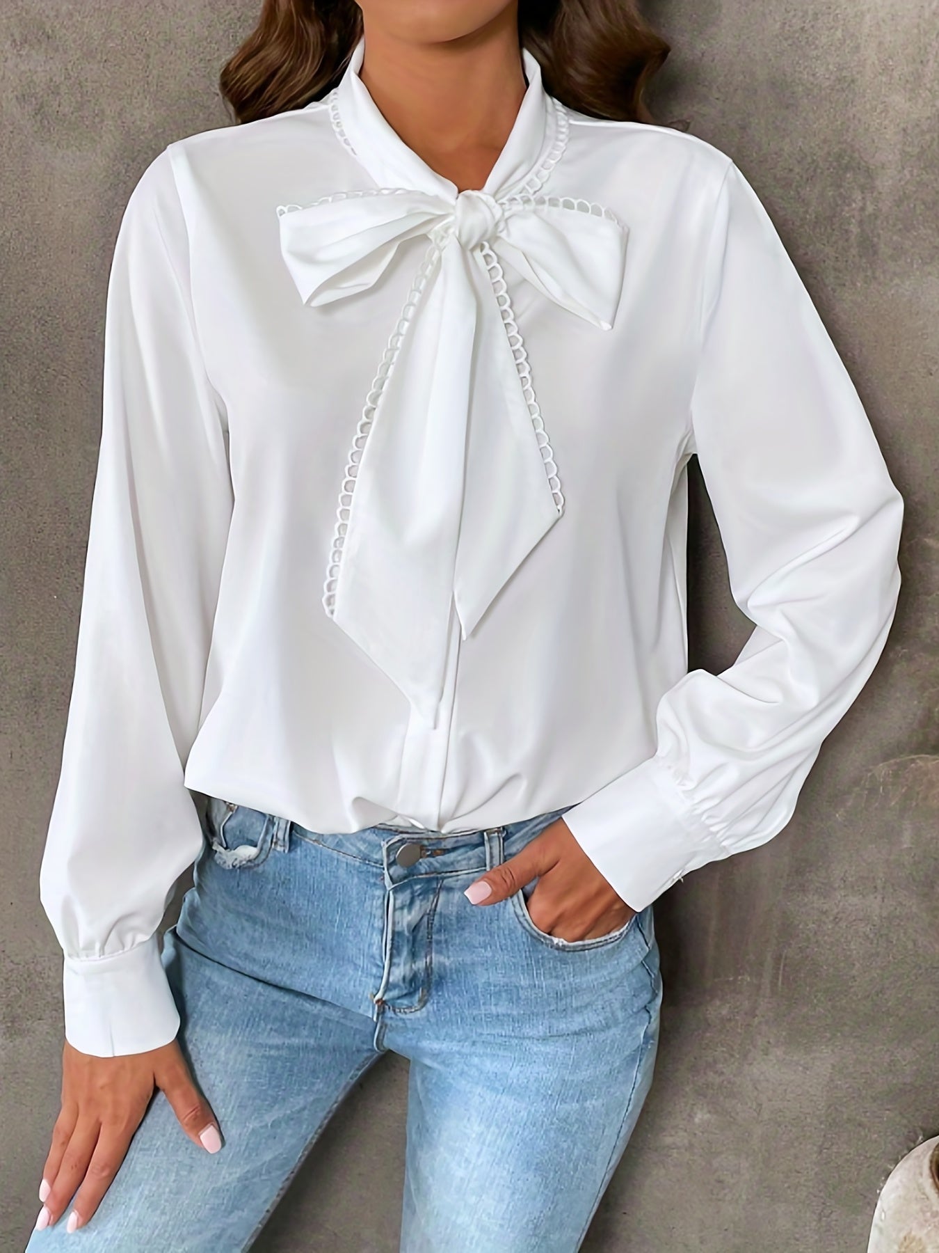 Bowknot Front Long Sleeve Blouse, High Neck Casual Top For Fall & Spring, Women's Clothing