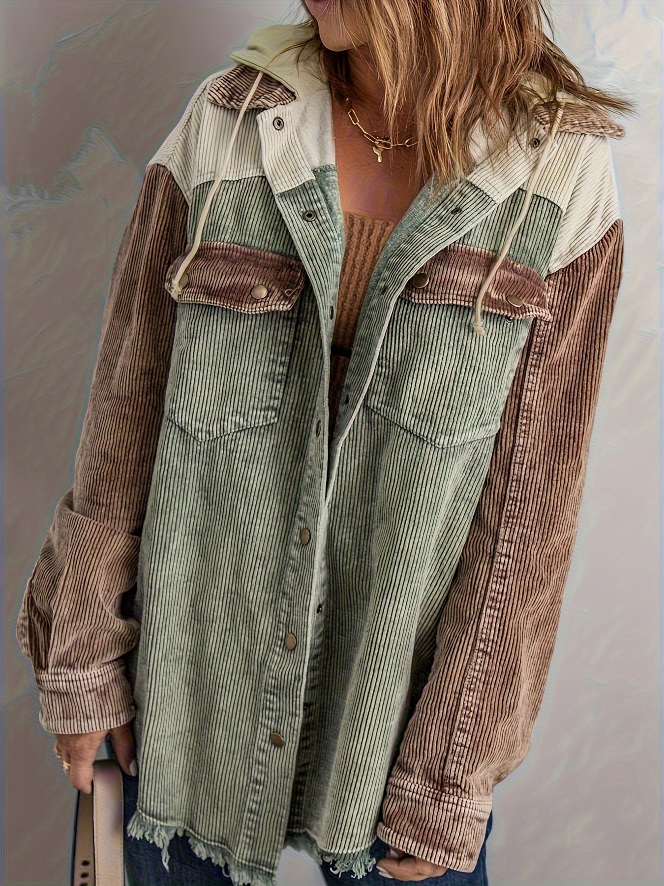 Color Block Long Sleeve Hooded Jacket, Casual Every Day Outerwear For Fall & Winter, Women's Clothing