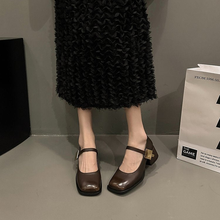 With Skirt High Heel Pumps Low Mouth Autumn and Winter Korean Style Women's Shoes Retro Black Mary Jane Shoes Small Leather Shoes