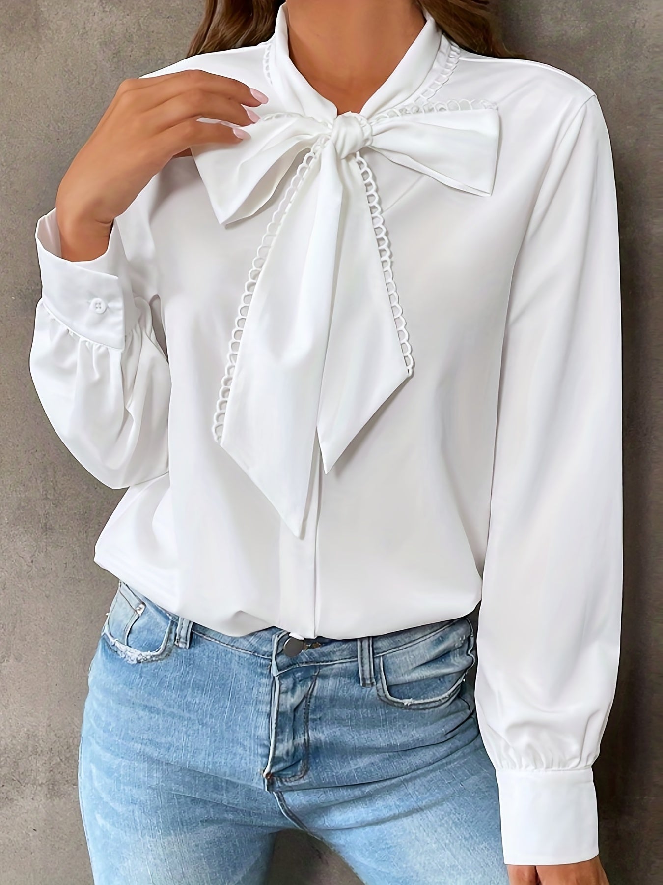 Bowknot Front Long Sleeve Blouse, High Neck Casual Top For Fall & Spring, Women's Clothing