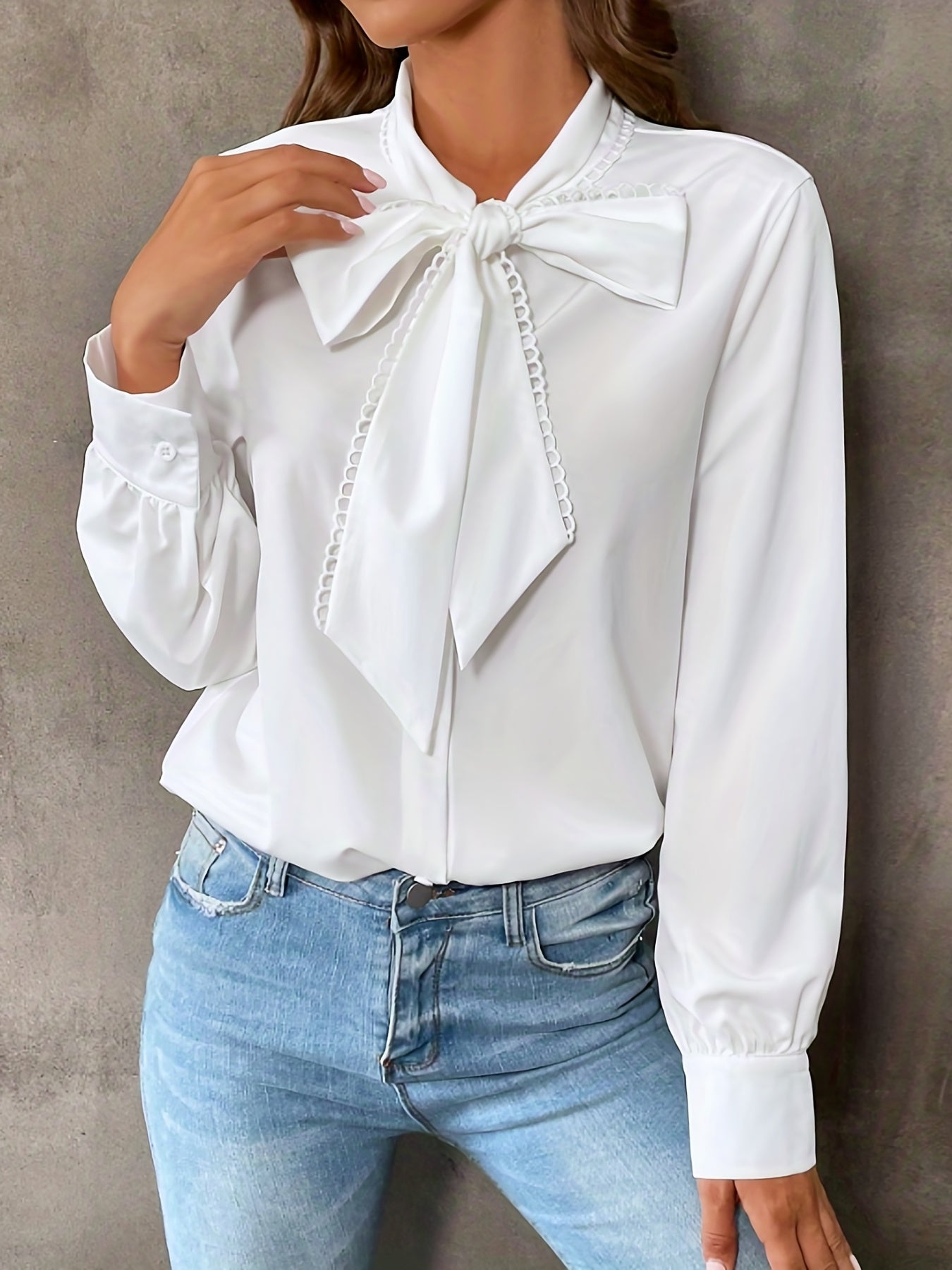 Bowknot Front Long Sleeve Blouse, High Neck Casual Top For Fall & Spring, Women's Clothing