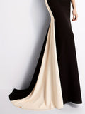 vlovelaw  Elegant Color Block Slim Long Dress, Sleeveless Party Evening Bodycon Long Dresses, Women's Clothing