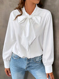 Bowknot Front Long Sleeve Blouse, High Neck Casual Top For Fall & Spring, Women's Clothing