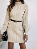vlovelaw  Turtleneck Ribbed Sweater Dress, Elegant Solid Long Sleeve Dress, Women's Clothing