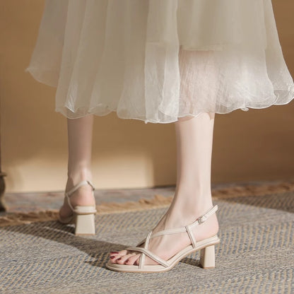 Retro Roman Sandals for Women  New Summer Chunky Heel Outdoor Fairy Style High Heel Niche Inner Match Match Skirt
