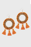 Fashion Earrings