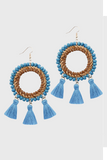 Fashion Earrings