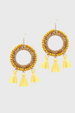 Fashion Earrings