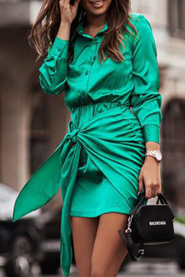 Fashion Elegant Print Buckle Strap Design Turndown Collar Waist Dresses（4 colors）